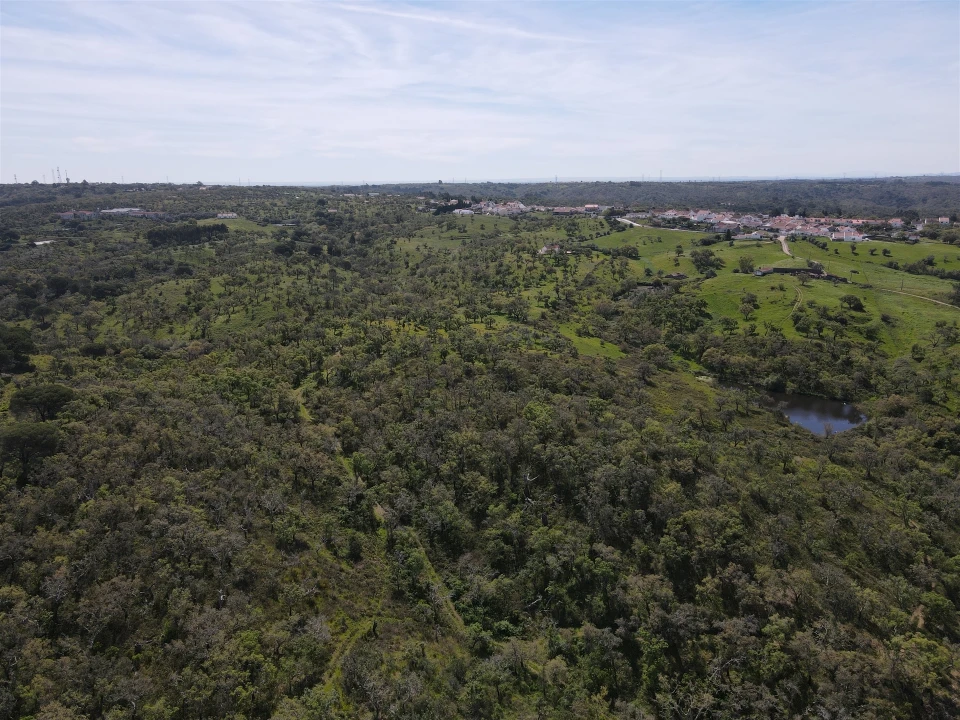 Terreno Agricola ou Rústico para Venda em São Francisco da Serra Foto 13