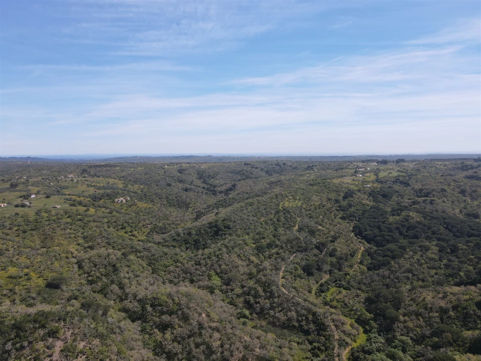 Terreno Agricola ou Rústico para Venda em São Francisco da Serra Foto 29