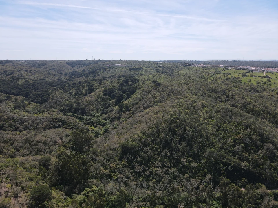 Terreno Agricola ou Rústico para Venda em São Francisco da Serra Foto 22