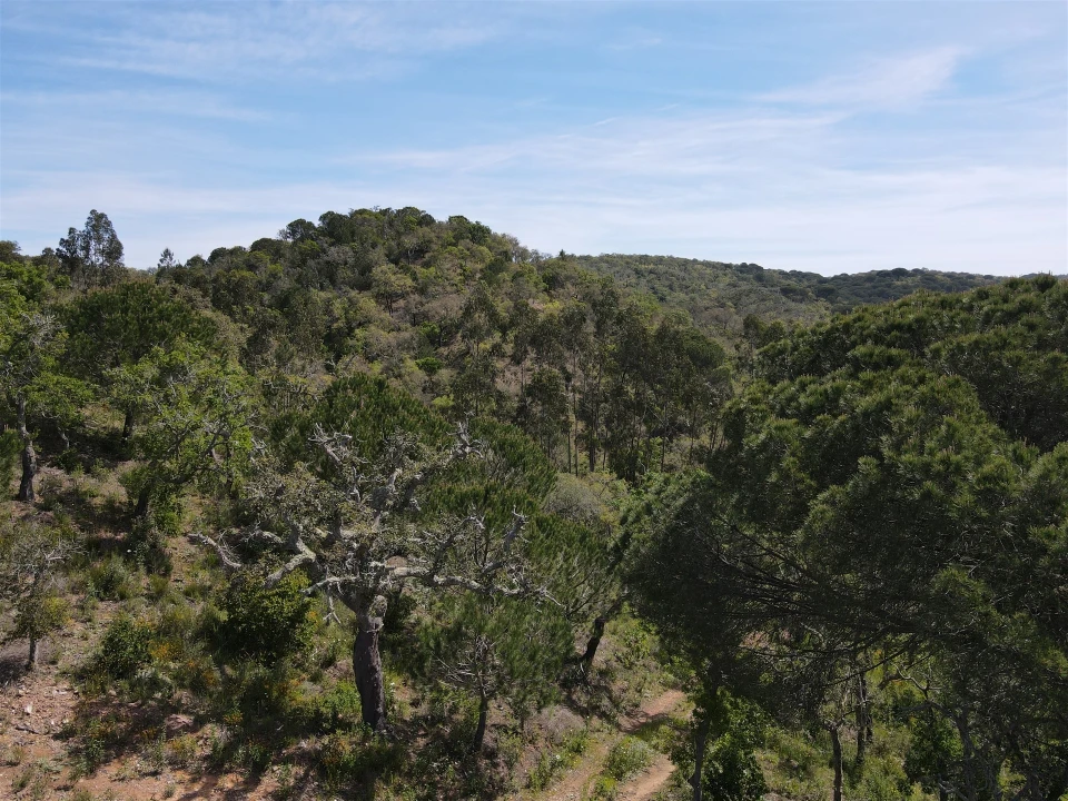 Terreno Agricola ou Rústico para Venda em São Francisco da Serra Foto 35