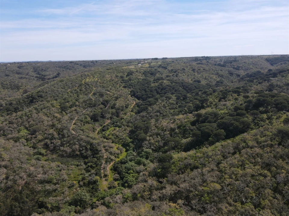 Terreno Agricola ou Rústico para Venda em São Francisco da Serra Foto 15