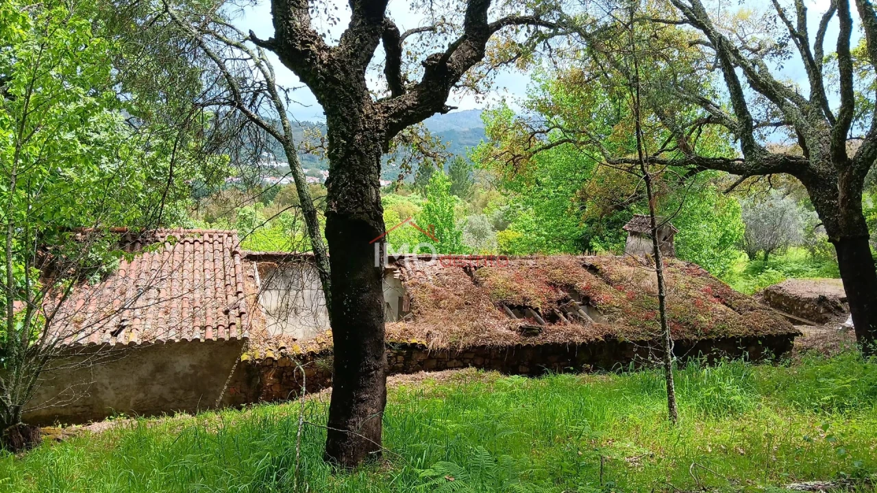 Quinta T5 para Venda em São Salvador da Aramenha Foto 3