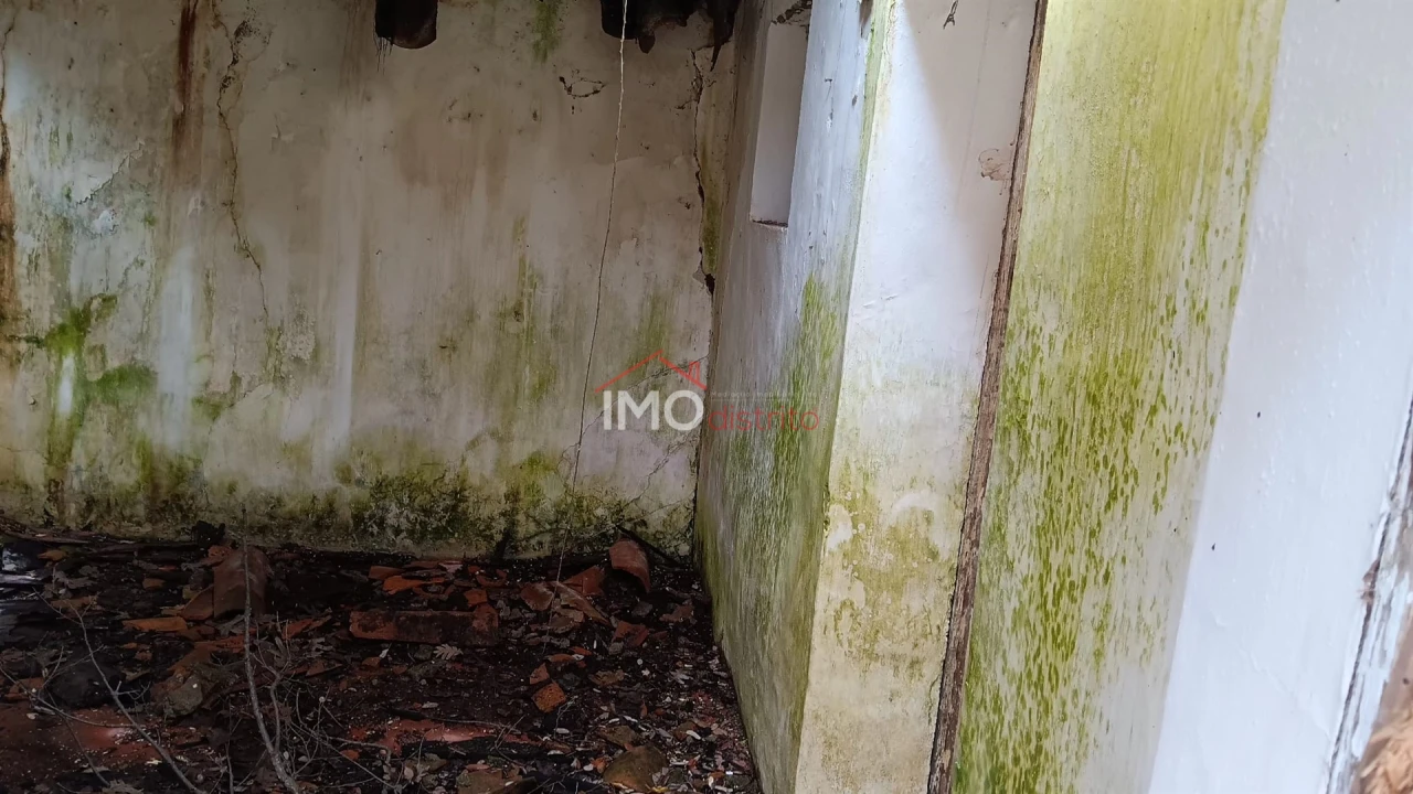 Quinta T5 para Venda em São Salvador da Aramenha Foto 5