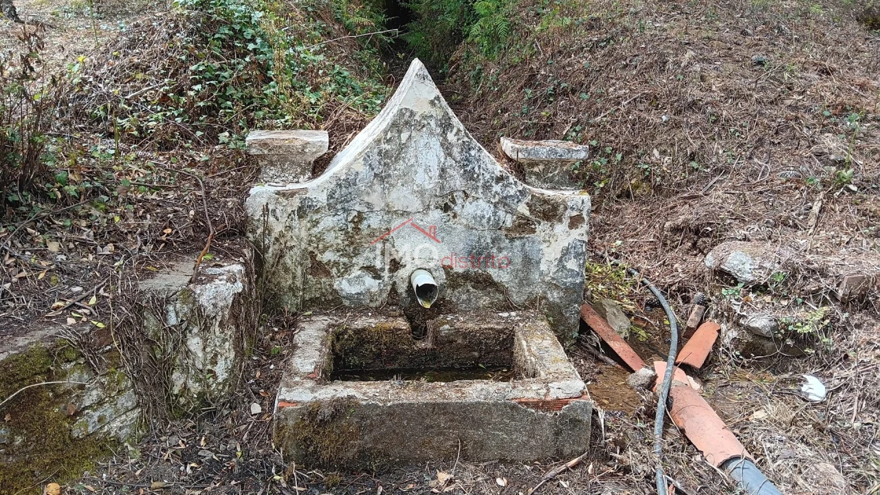 Quinta T5 para Venda em São Salvador da Aramenha Foto 9