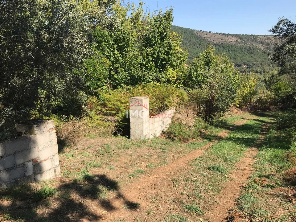 Quinta T5 para Venda em São Salvador da Aramenha Foto 13