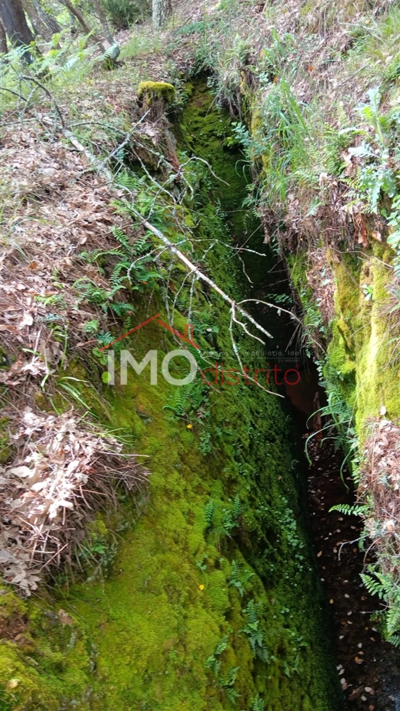 Quinta T5 para Venda em São Salvador da Aramenha Foto 16