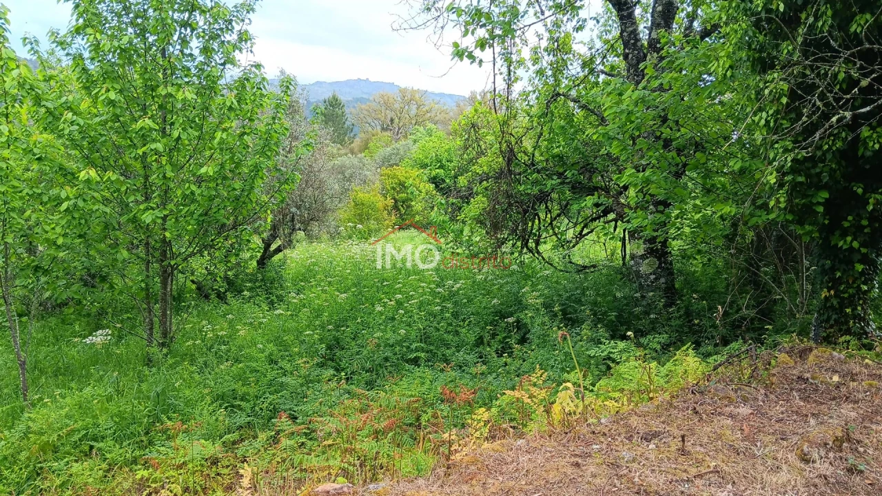 Quinta T5 para Venda em São Salvador da Aramenha Foto 18