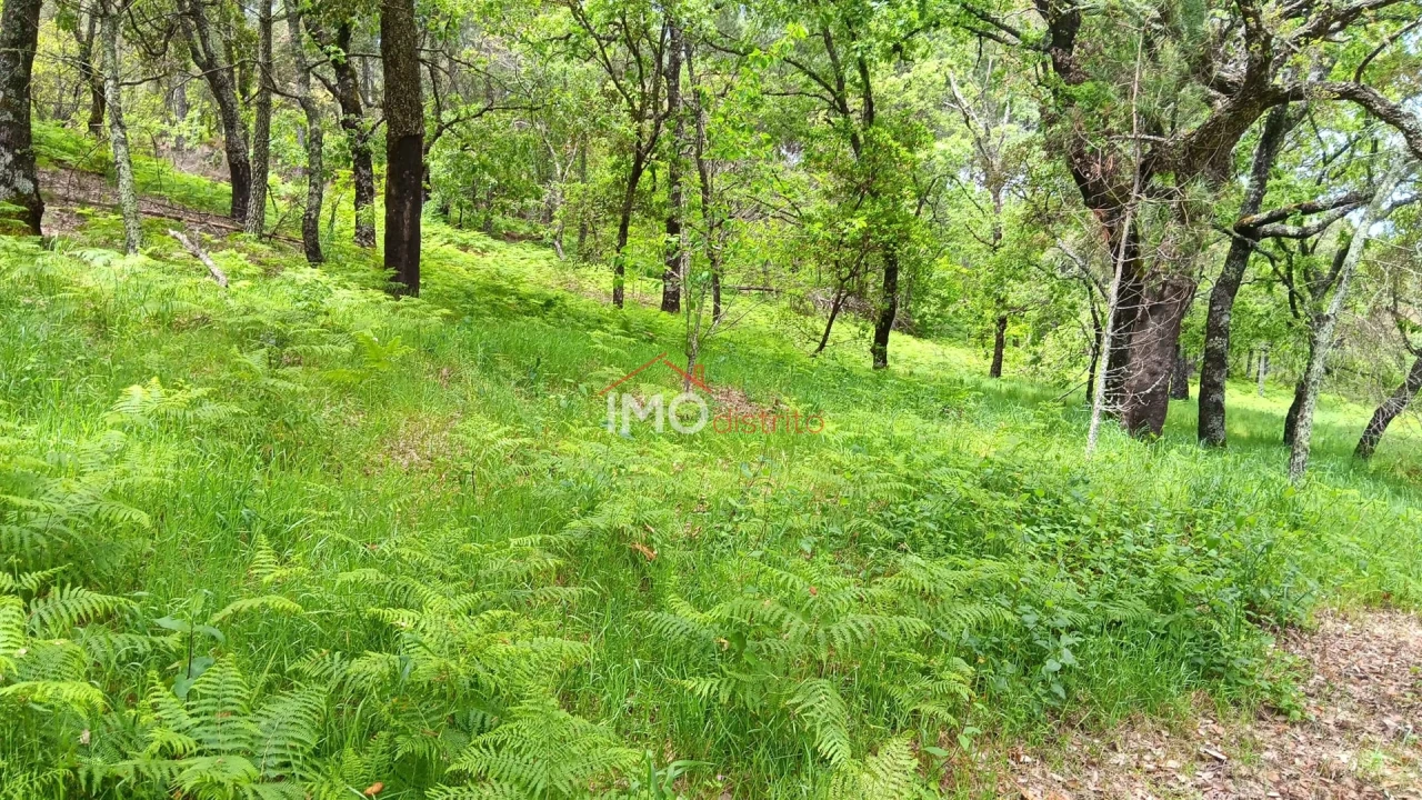 Quinta T5 para Venda em São Salvador da Aramenha Foto 17