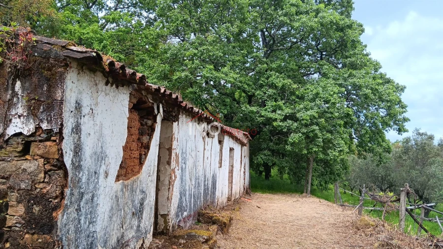 Quinta T5 para Venda em São Salvador da Aramenha Foto 2