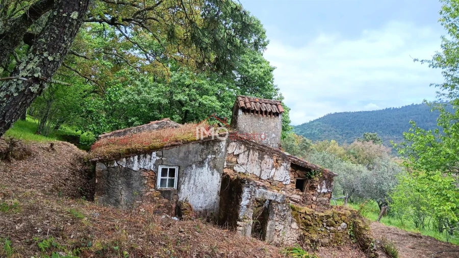 Quinta T5 para Venda em São Salvador da Aramenha Foto 10