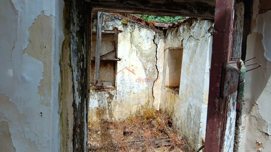 Quinta T5 para Venda em São Salvador da Aramenha Foto 6