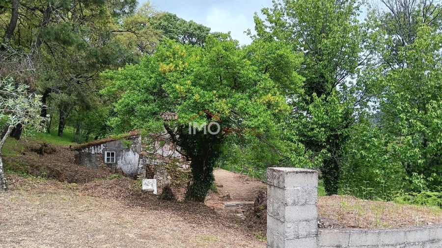 Quinta T5 para Venda em São Salvador da Aramenha Foto 11