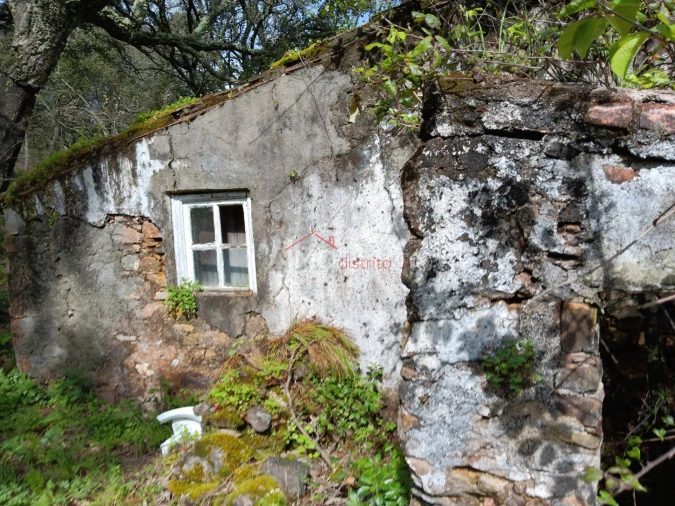 Quinta T5 para Venda em São Salvador da Aramenha Foto 15