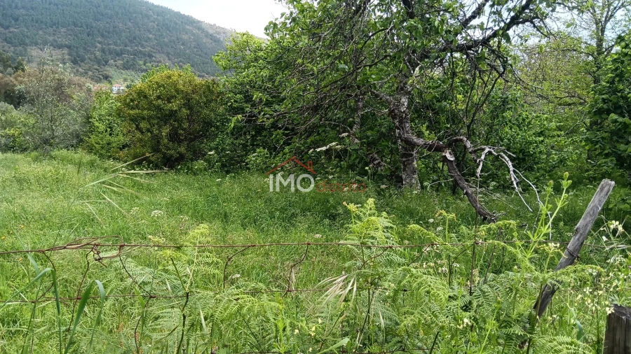 Quinta T5 para Venda em São Salvador da Aramenha Foto 19