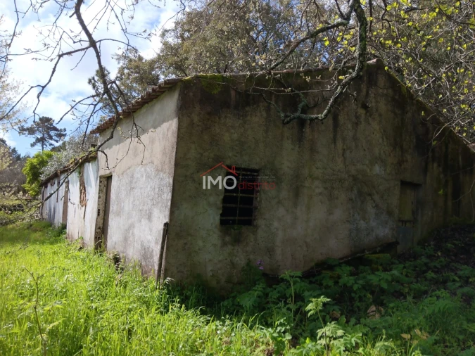 Quinta T5 para Venda em São Salvador da Aramenha Foto 14