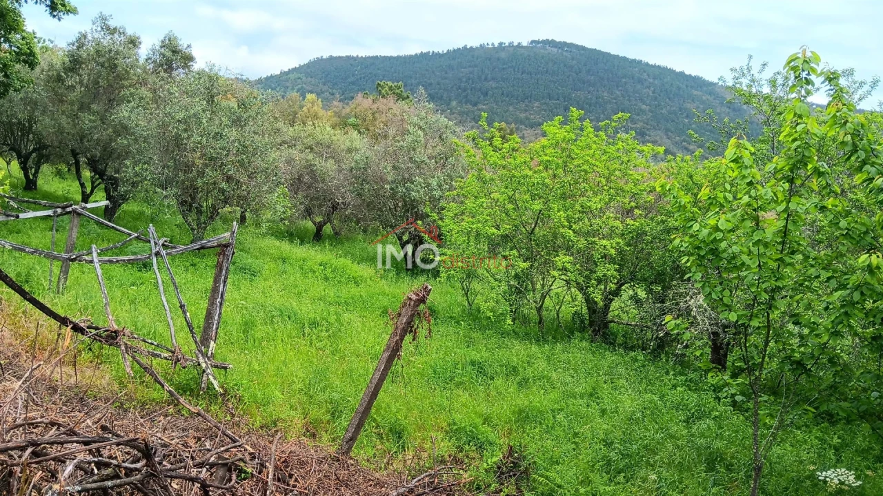 Quinta T5 para Venda em São Salvador da Aramenha Foto 12