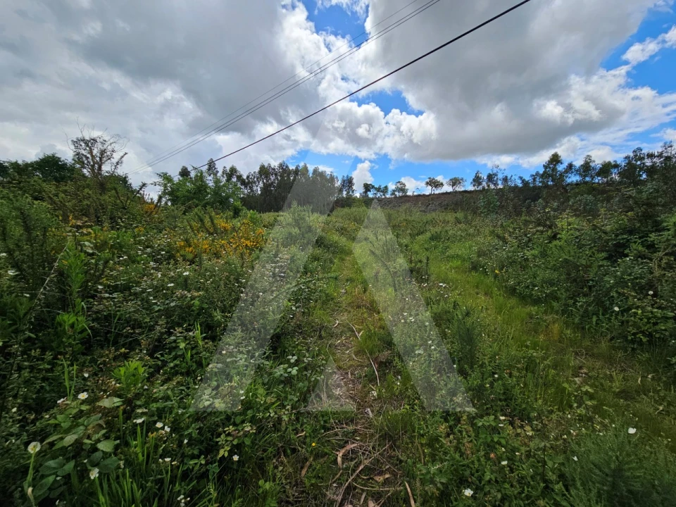Terreno para Venda em Barrô e Aguada de Baixo Foto 1