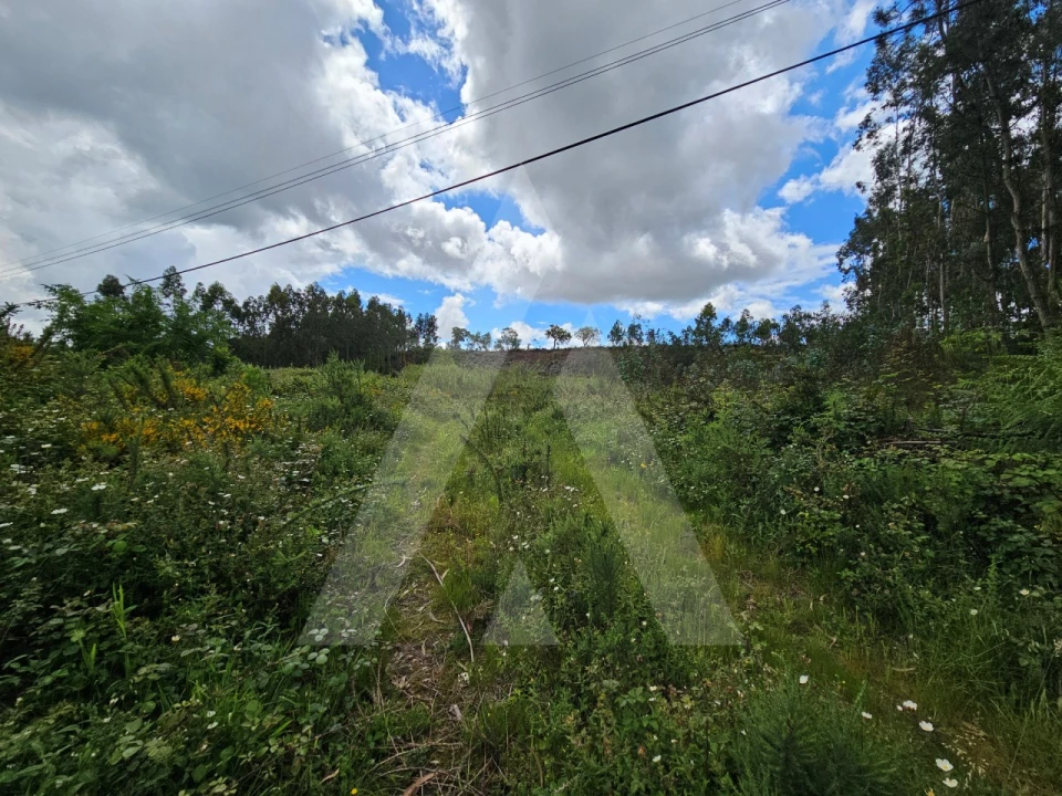 Terreno para Venda em Barrô e Aguada de Baixo Foto 4