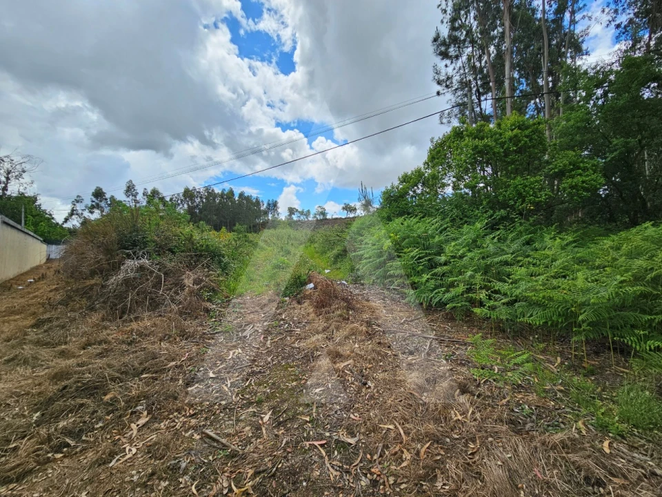 Terreno para Venda em Barrô e Aguada de Baixo Foto 6