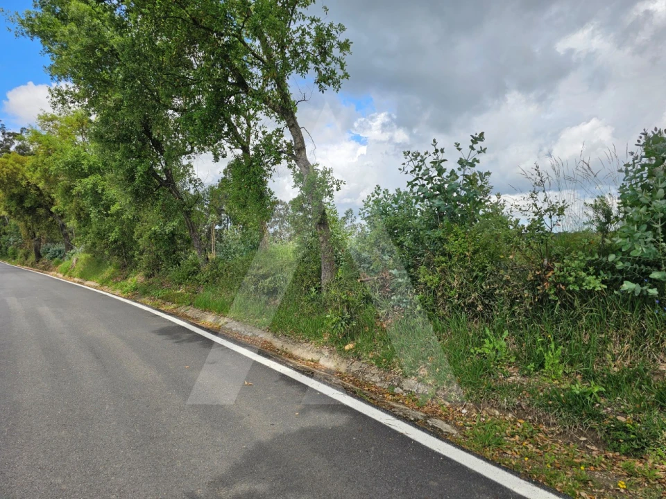 Terreno para Venda em Barrô e Aguada de Baixo Foto 8