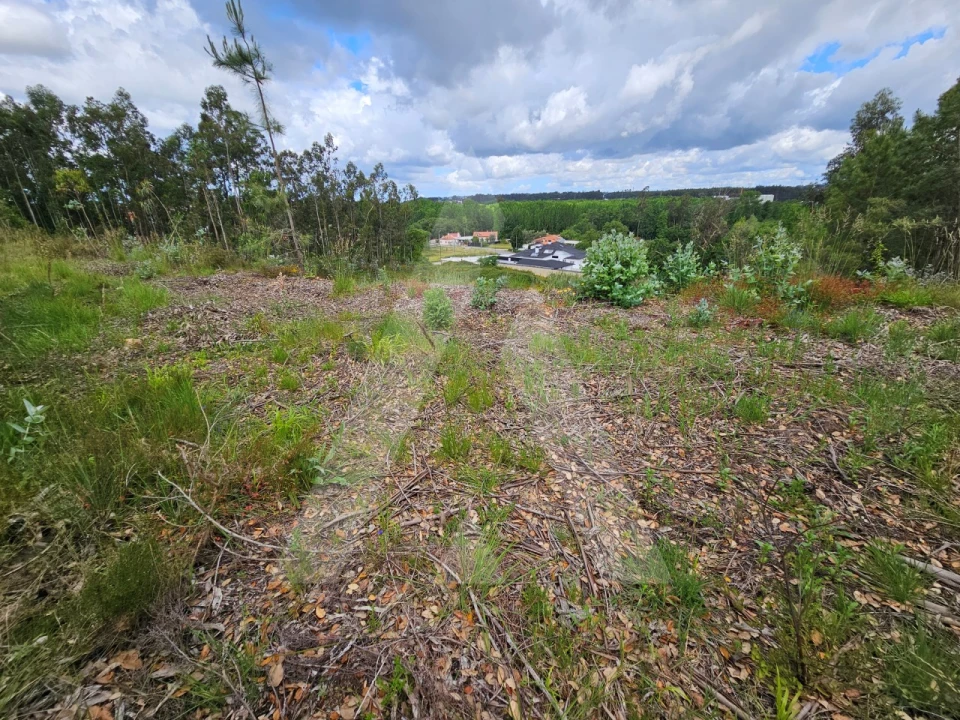 Terreno para Venda em Barrô e Aguada de Baixo Foto 10