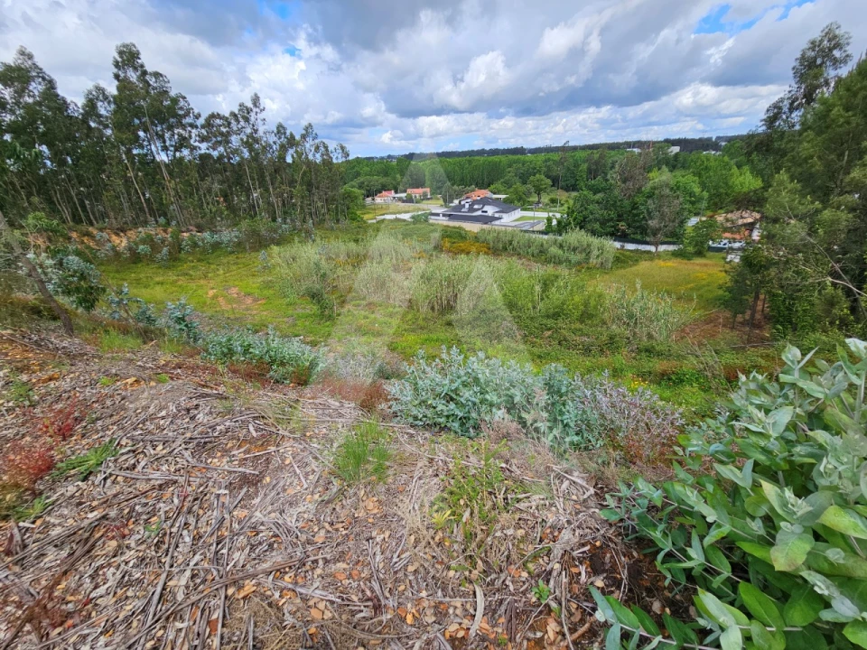 Terreno para Venda em Barrô e Aguada de Baixo Foto 11