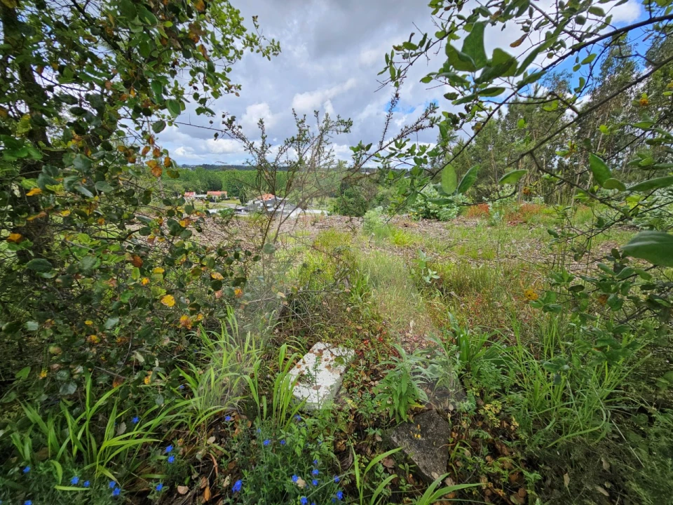 Terreno para Venda em Barrô e Aguada de Baixo Foto 12