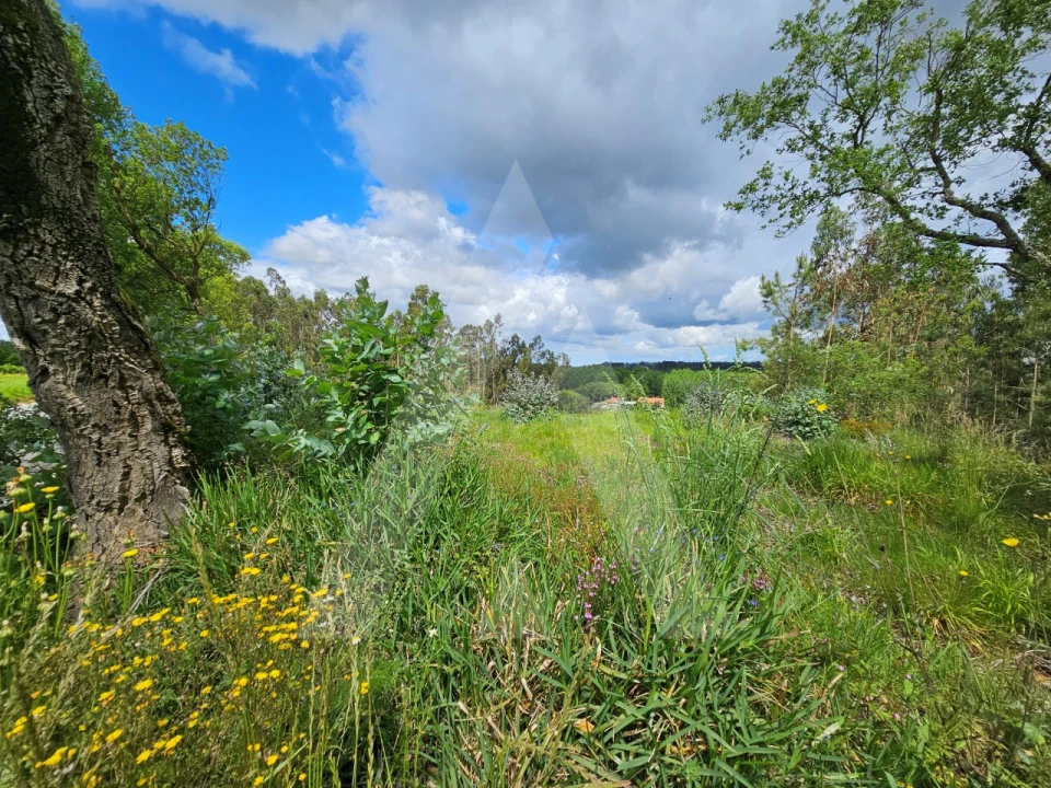 Terreno para Venda em Barrô e Aguada de Baixo Foto 15