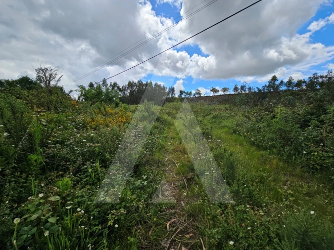 Terreno para Venda em Barrô e Aguada de Baixo Foto 1