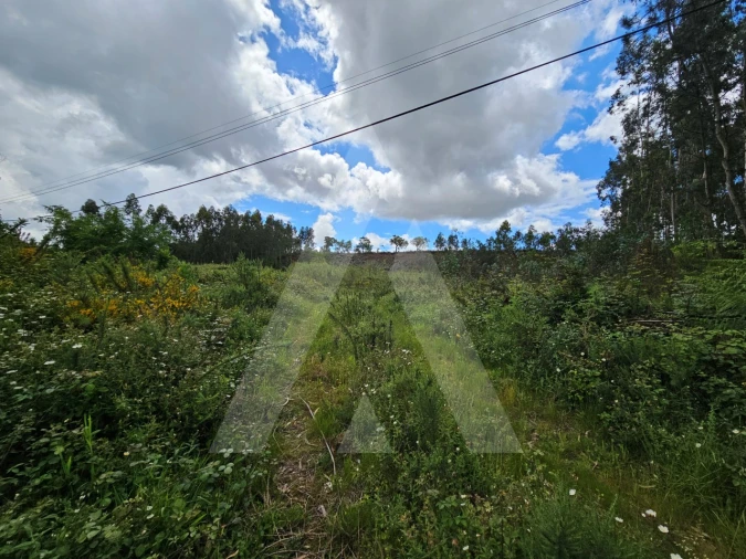Terreno para Venda em Barrô e Aguada de Baixo Foto 5