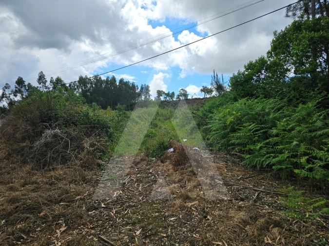 Terreno para Venda em Barrô e Aguada de Baixo Foto 7