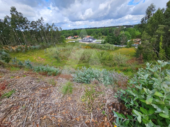 Terreno para Venda em Barrô e Aguada de Baixo Foto 9