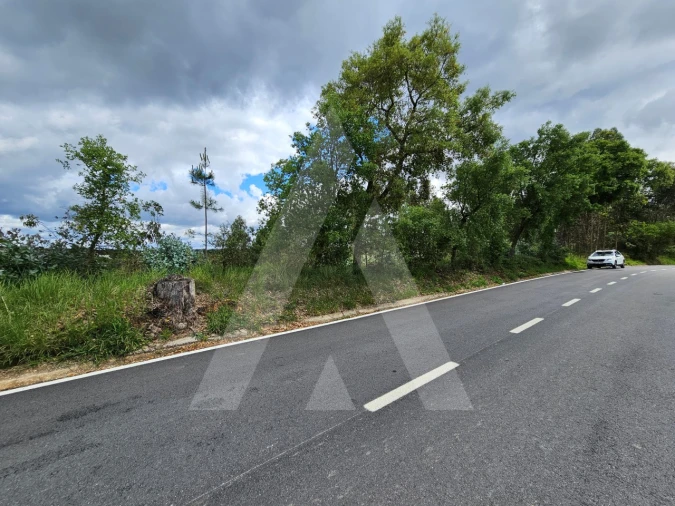 Terreno para Venda em Barrô e Aguada de Baixo Foto 14