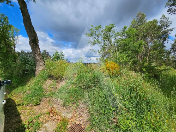 Terreno para Venda em Barrô e Aguada de Baixo Foto 16