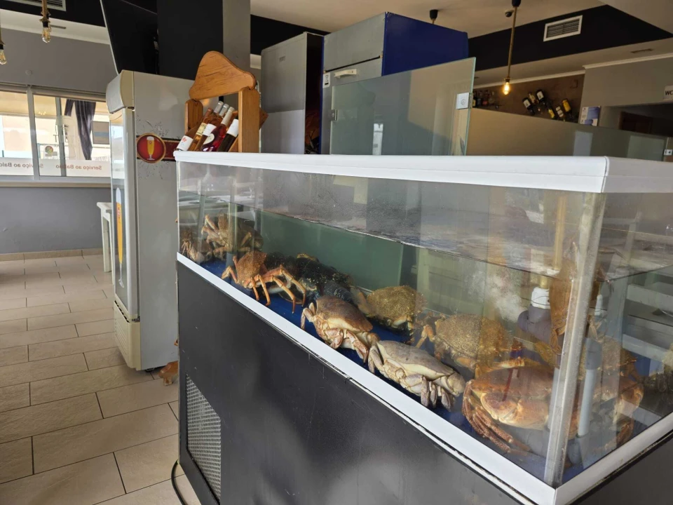 Negócio para Arrendamento em Silveira Foto 12