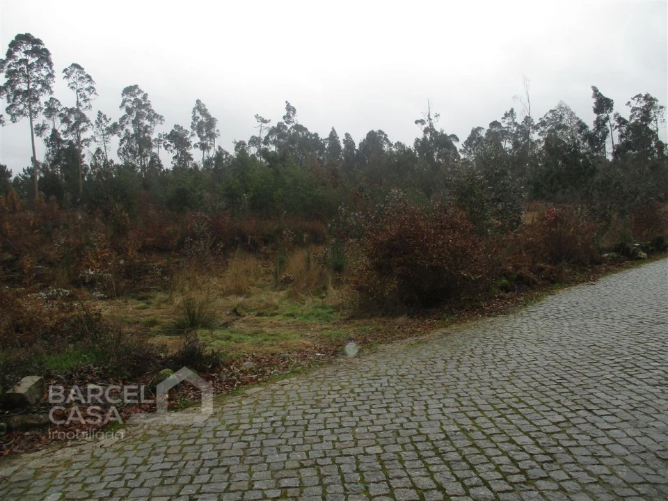 Terreno para Venda em Quintiães e Aguiar Foto 3