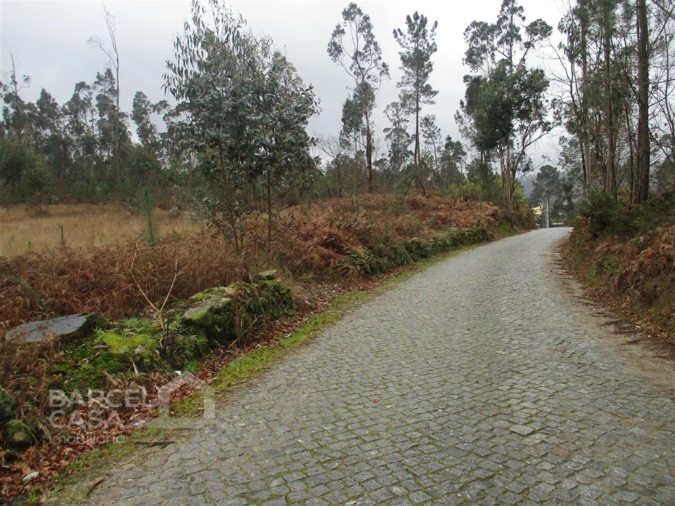 Terreno para Venda em Quintiães e Aguiar Foto 9