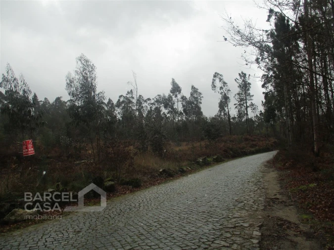 Terreno para Venda em Quintiães e Aguiar