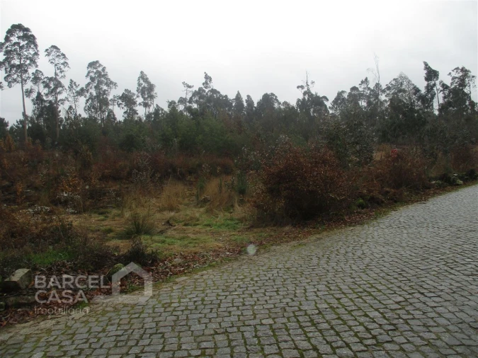 Terreno para Venda em Quintiães e Aguiar Foto 3