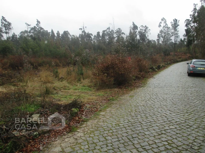 Terreno para Venda em Quintiães e Aguiar Foto 5