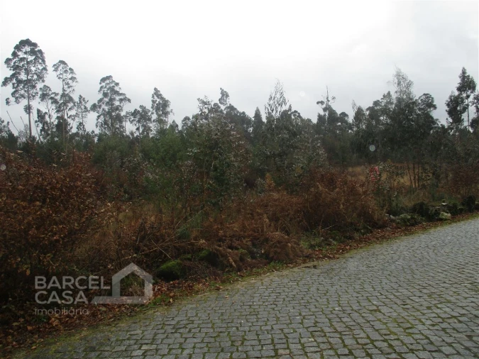 Terreno para Venda em Quintiães e Aguiar Foto 6