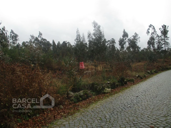 Terreno para Venda em Quintiães e Aguiar Foto 7
