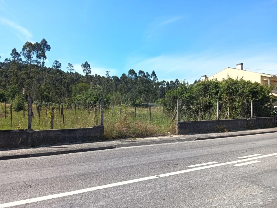 Terreno para Venda em Oliveira do Bairro Foto 7