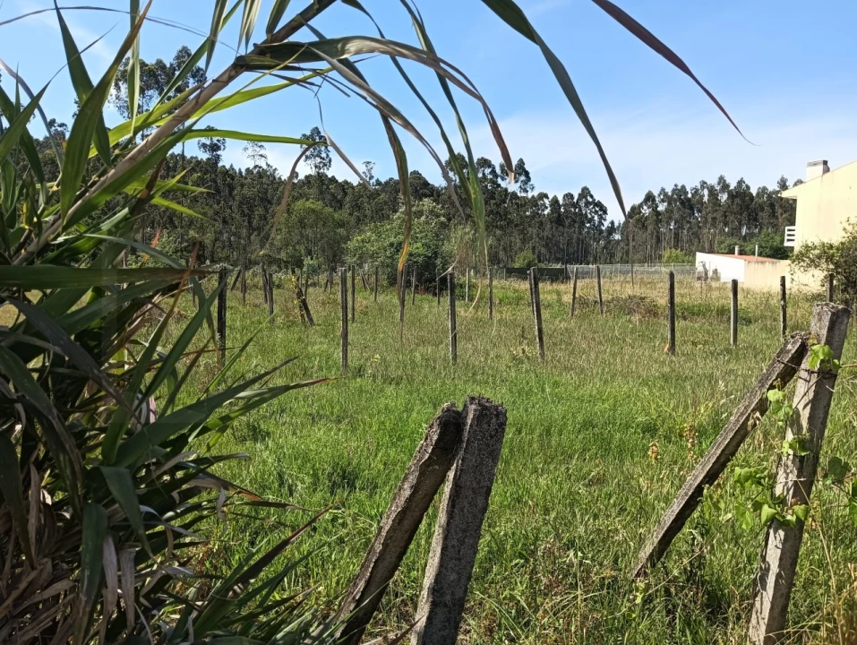 Terreno para Venda em Oliveira do Bairro Foto 8