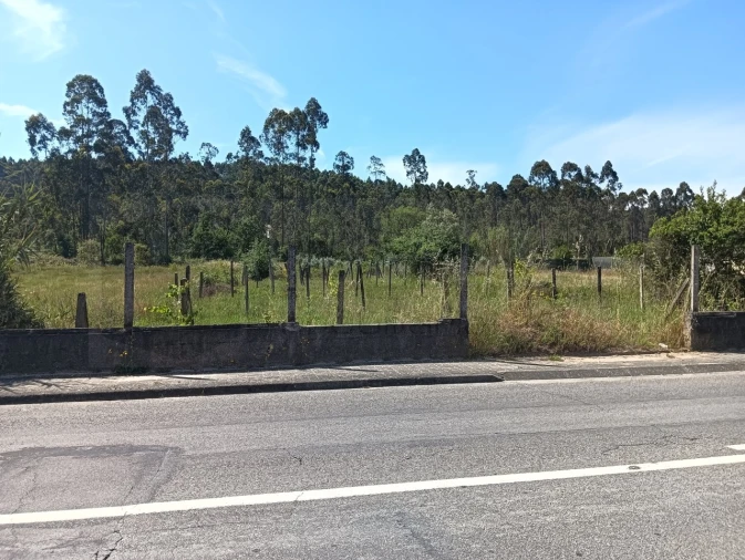 Terreno para Venda em Oliveira do Bairro Foto 18