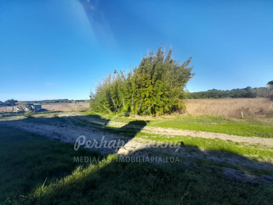 Terreno Misto para Venda em Melides Foto 15