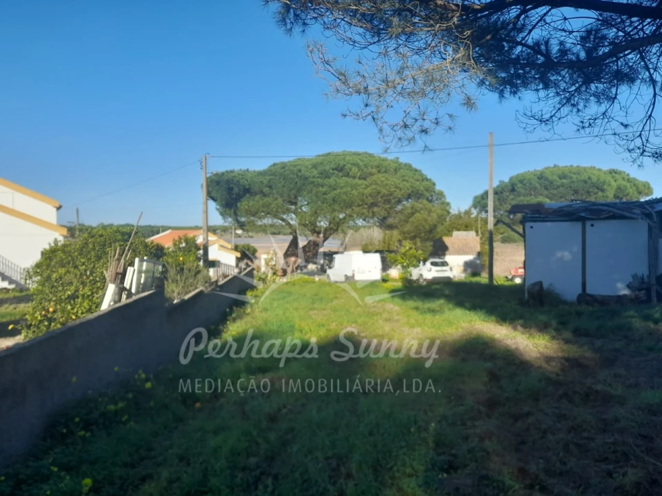Terreno Misto para Venda em Melides Foto 21