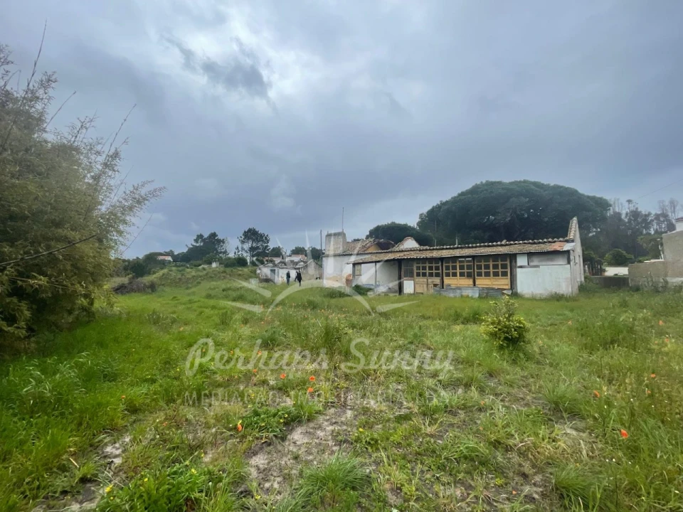 Terreno Misto para Venda em Melides Foto 4