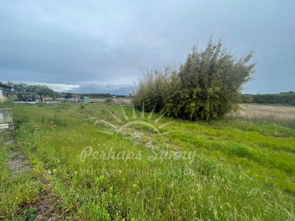 Terreno Misto para Venda em Melides Foto 12