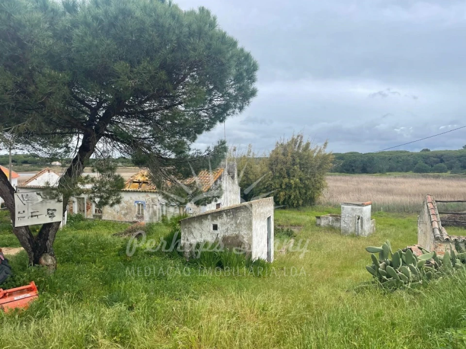 Terreno Misto para Venda em Melides Foto 7